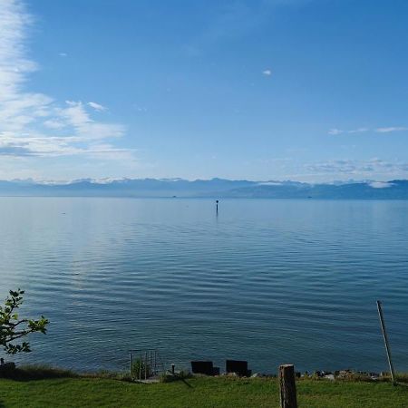 Birkhofer See Geniessen - Haus Seehang Immenstaad am Bodensee Exterior foto